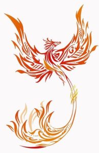phoenix reference image